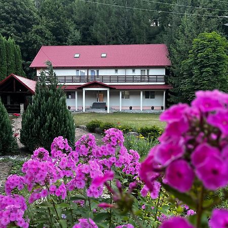 Vacation Villa Suczawica Zewnętrze zdjęcie
