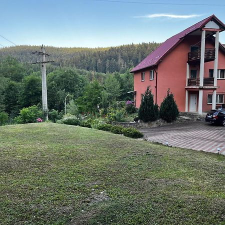 Vacation Villa Suczawica Zewnętrze zdjęcie