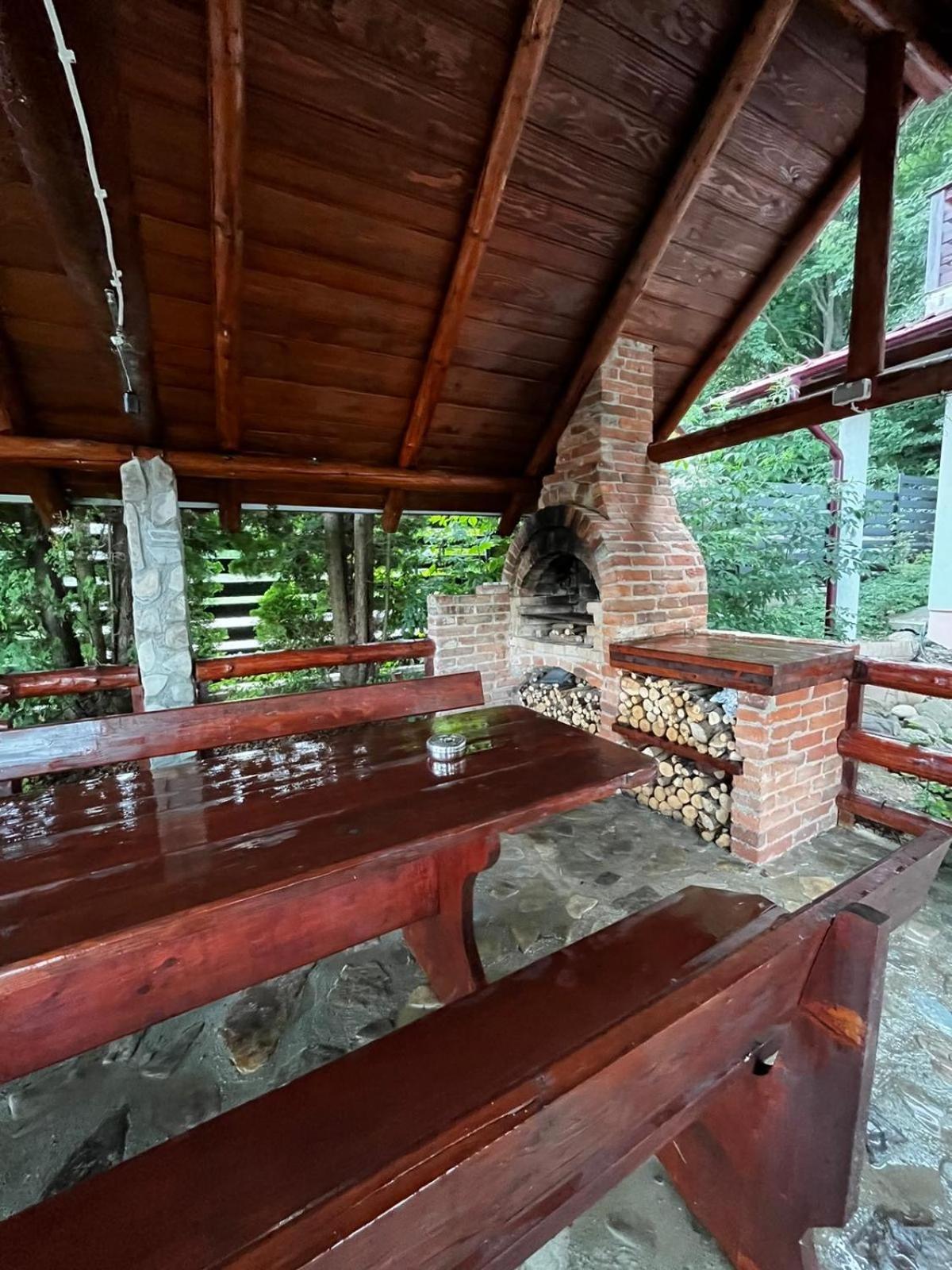 Vacation Villa Suczawica Zewnętrze zdjęcie
