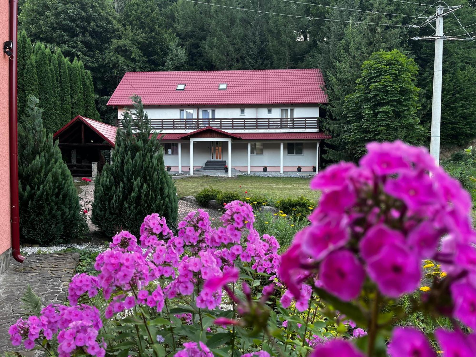 Vacation Villa Suczawica Zewnętrze zdjęcie
